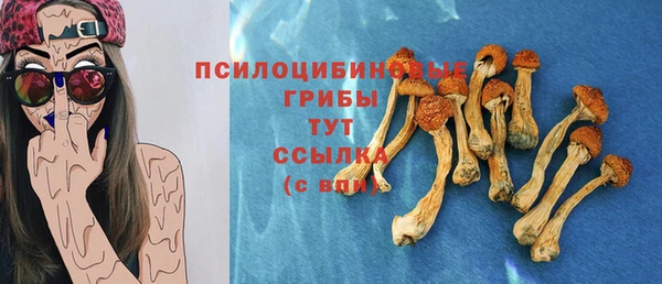 мдма Няндома