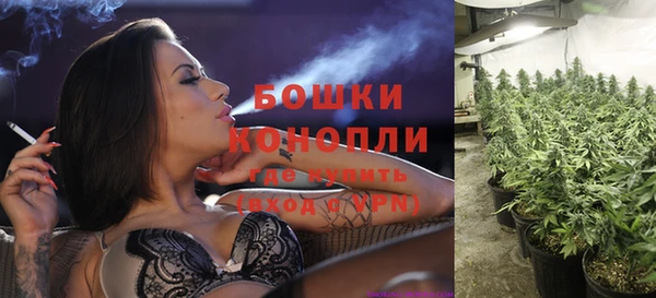 Альфа ПВП Остров