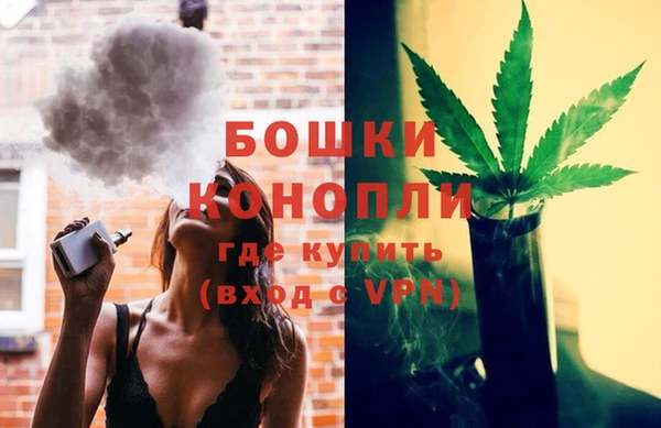 PSILOCYBIN Нязепетровск