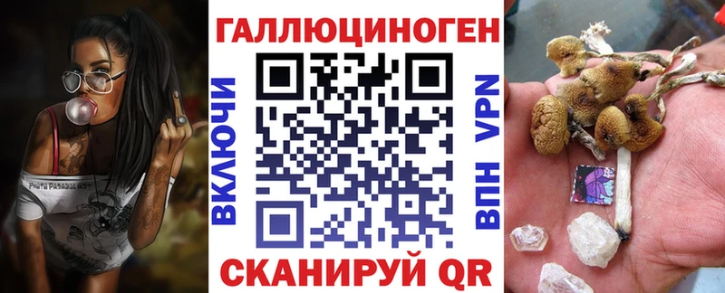 Галлюциногенные грибы Psilocybine cubensis  Купить  Инсар 